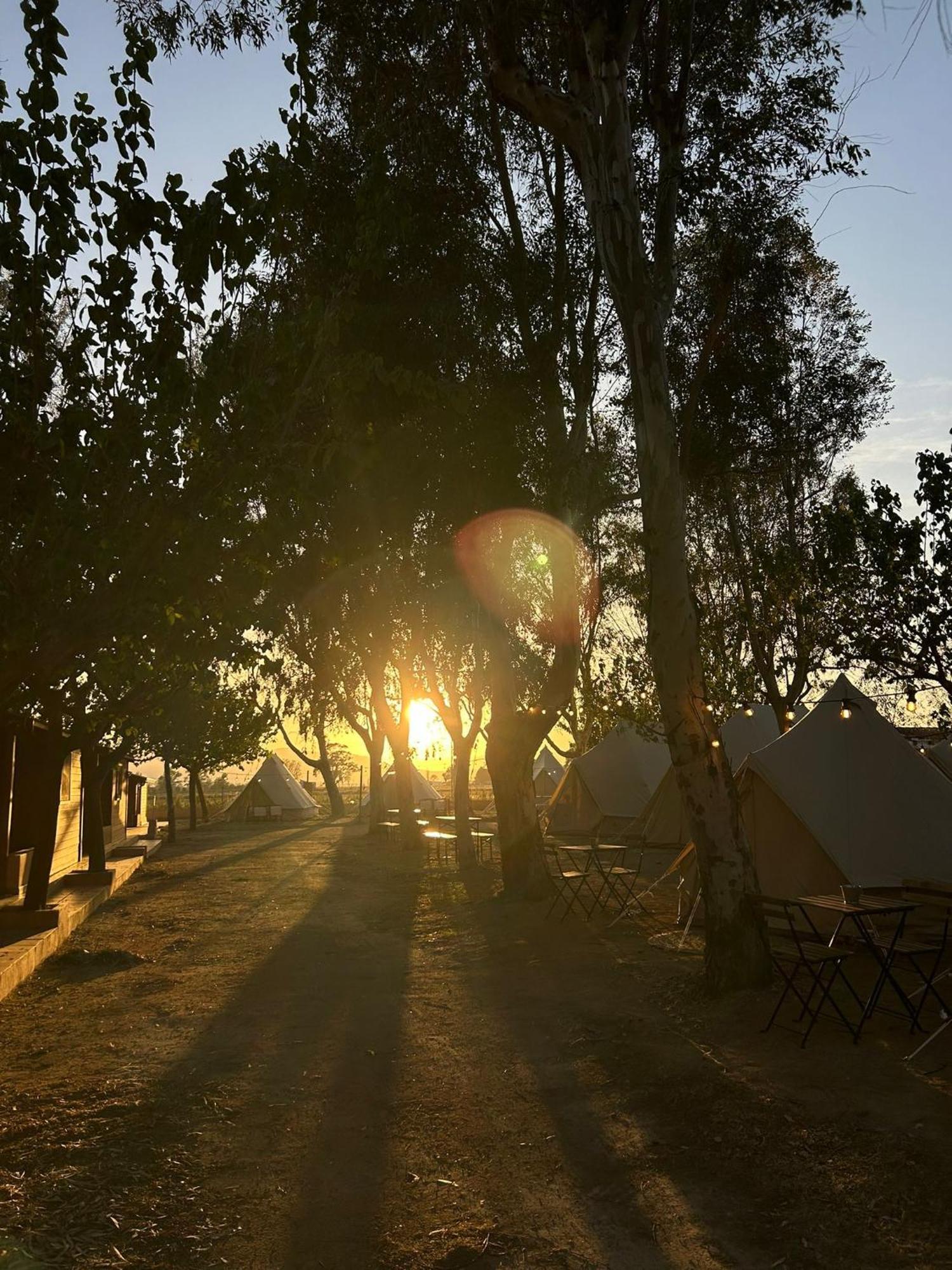 Camping Delta Natura La Tancada Ампоста Экстерьер фото